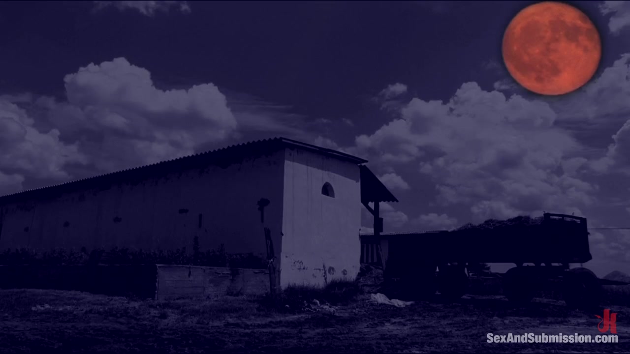 SEX AND SUBMISSION - The Dark Crevice