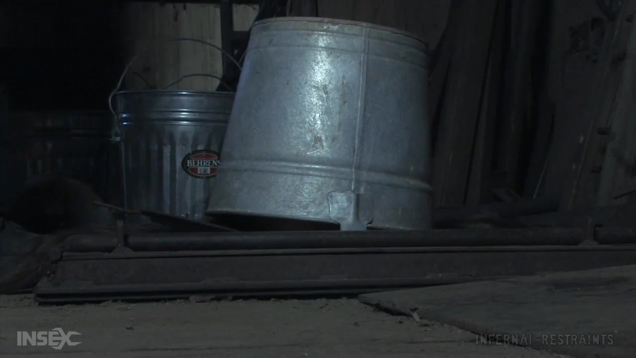 INFERNAL RESTRAINTS - Sister Dee - The Fly